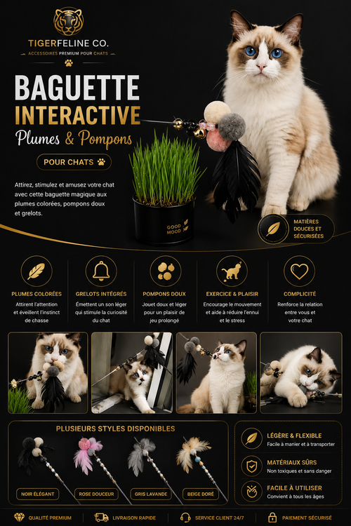 Baguette Interactive Premium à Plumes pour Chat
