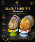 Gamelle Surélevée Inox Premium pour Chat