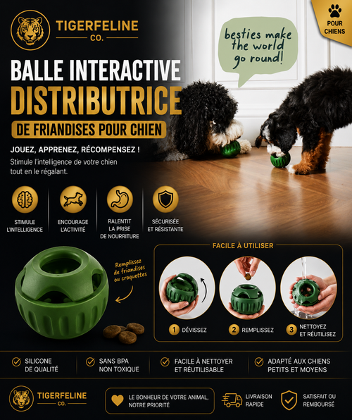 Balle Interactive Distributrice de Friandises pour Chien