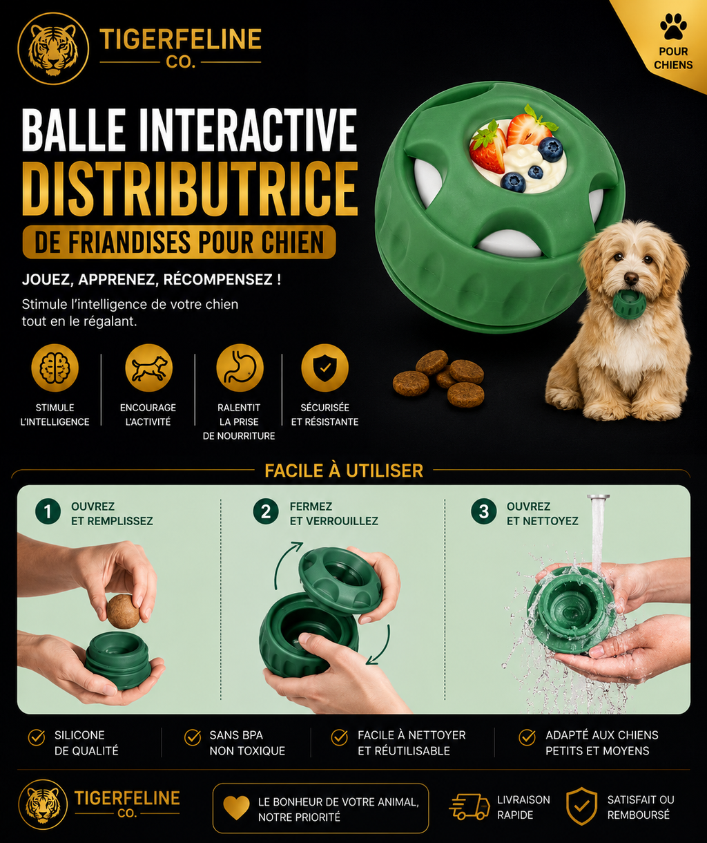 Balle Interactive Distributrice de Friandises pour Chien