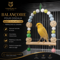 Balançoire Interactive pour Oiseaux avec Clochettes | Premium Jouet pour oiseaux for cats, dogs and birds - TigerFeline Co
