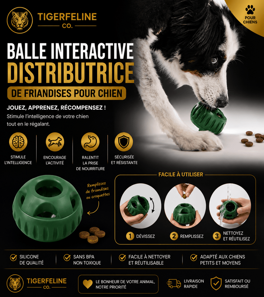 Balle Interactive Distributrice de Friandises pour Chien | Premium Jouets Interactifs for cats, dogs and birds - TigerFeline Co