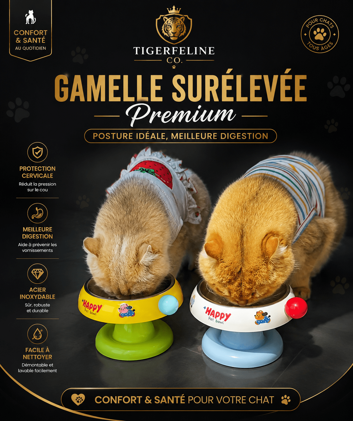 Gamelle Surélevée Inox Premium pour Chat | Premium Gamelle Chat for cats, dogs and birds - TigerFeline Co